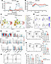 OCA-B promotes relapsing-remitting EAE through stem-like CD4+ T cells.