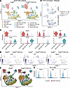 OCA-B promotes disease relapse through control of pathogenic stem-like Th17