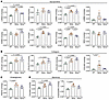Distinct changes in basement membrane proteins in Sgcg and SgcgTG muscle.