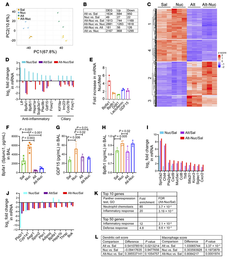 Transcriptomic analysis of the mouse models.
(A) Principal component (PC...