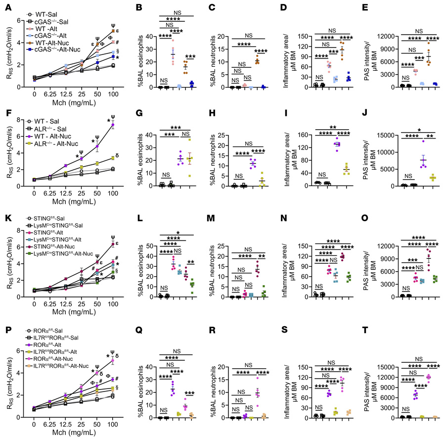 Effect of germline deletion of various DNA sensors and ILC2s on Alt-Nuc ...