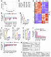 Transcriptomic analysis of the mouse models.