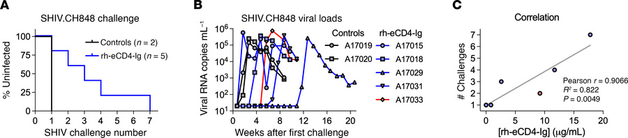 AAV-expressed rh-eCD4-Ig protects from IR SHIV-CH848 challenges.
(A) Kap...