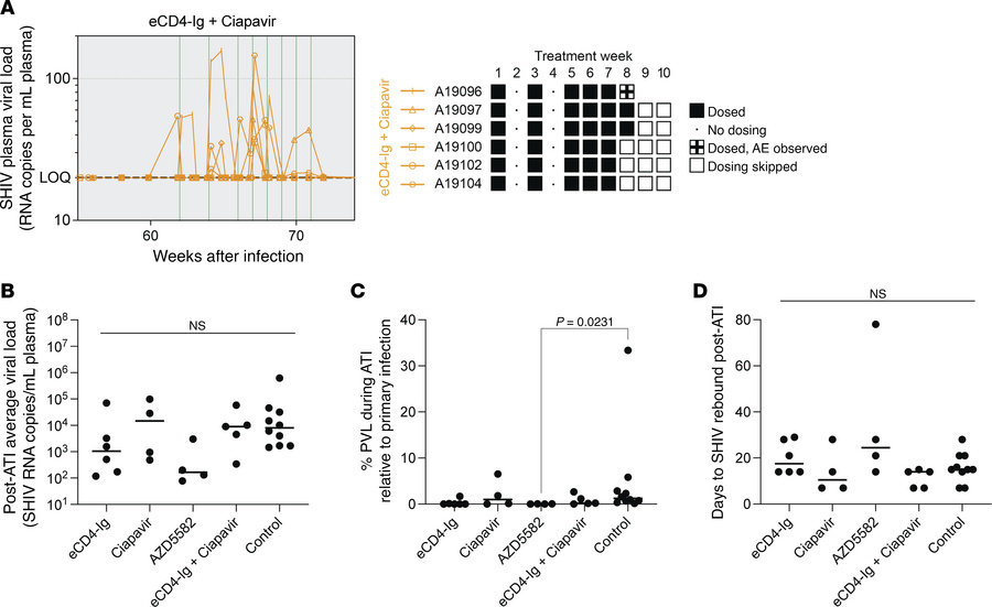 Impact of combined ciapavir and eCD4-Ig treatment on the viral reservoir...