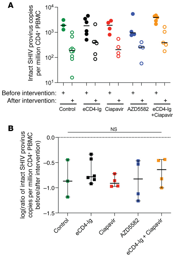 A SHIV-specific 5T-IPDA shows no impact of eCD4-Ig or LRAs in vivo.
(A) ...
