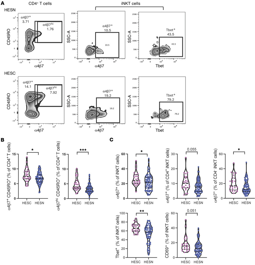 Conventional and unconventional T cell phenotypes in HESN and HESC indiv...
