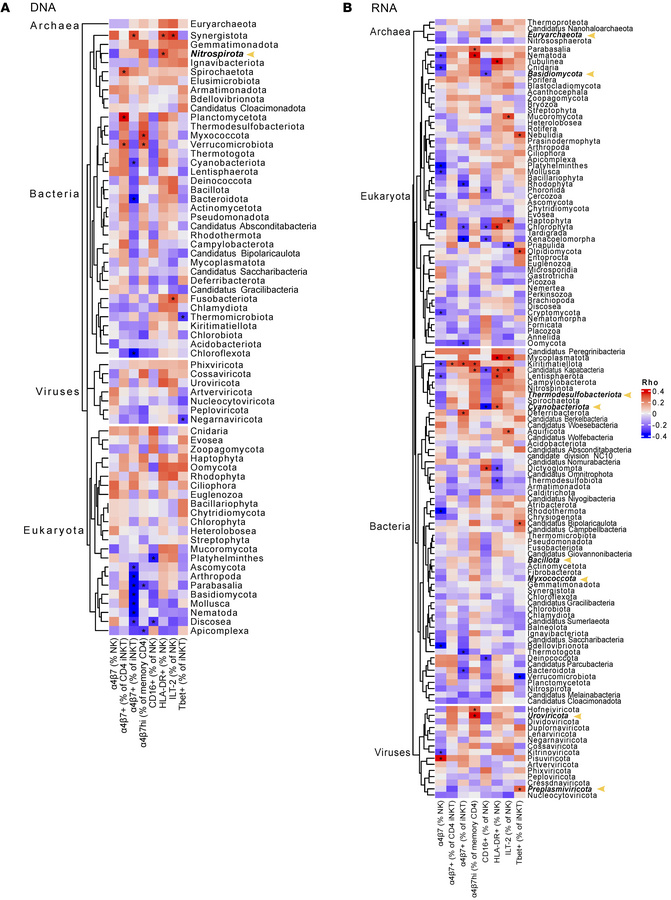 Associations between translocated microbial products and immune phenotyp...