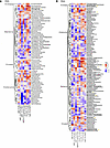 Associations between translocated microbial products and immune phenotype.