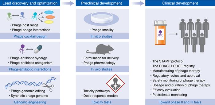 Gaps in phage therapy through the perspective of a drug development pipe...