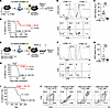 The H-Me is an essential regulatory element for T-ALL leukemogenesis in mul