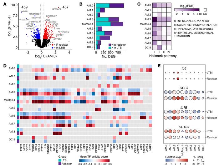 Gene-expression differences in the absence of Mtb between resister and L...