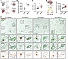 TDP43 pathology is associated with NLK overexpression in human model system