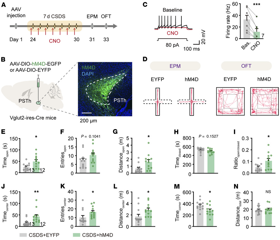 Inhibition of PSTh glutamatergic neurons during social defeat alleviates...