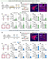 The PSTh regulates anxiety-like behavior via its innervation upon the BNST.