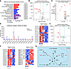 ZDHHC13 regulates lipid metabolism in melanomas.