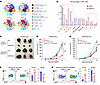 ZDHHC13 reshapes the tumor immune microenvironment.