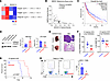 SMPD2 is a downstream of ZDHHC13 to induce M2-like TAM polarization.