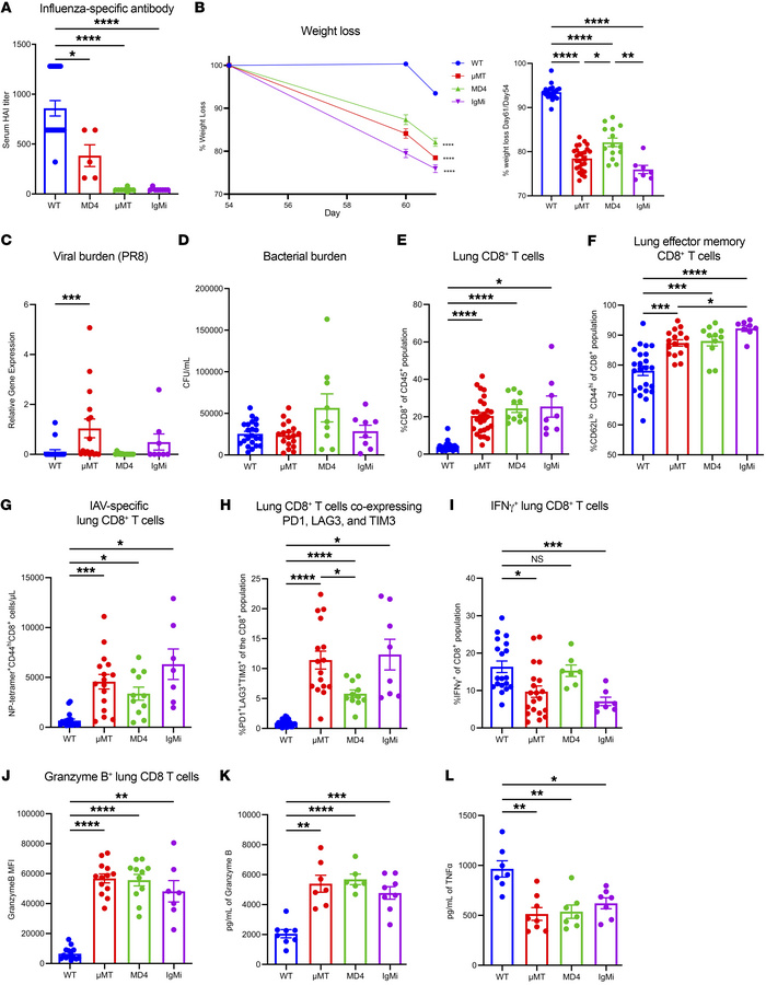 Loss of influenza virus–specific antibody drives cytotoxic memory CD8+ T...