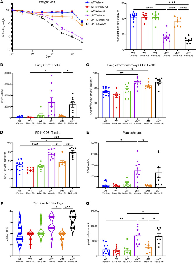 Passive immunization of μMT mice with heterotypic memory influenza serum...