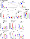 Loss of influenza virus–specific antibody drives cytotoxic memory CD8+ T ce