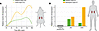 C3 expression dynamics correspond to failed repair in proximal tubules.