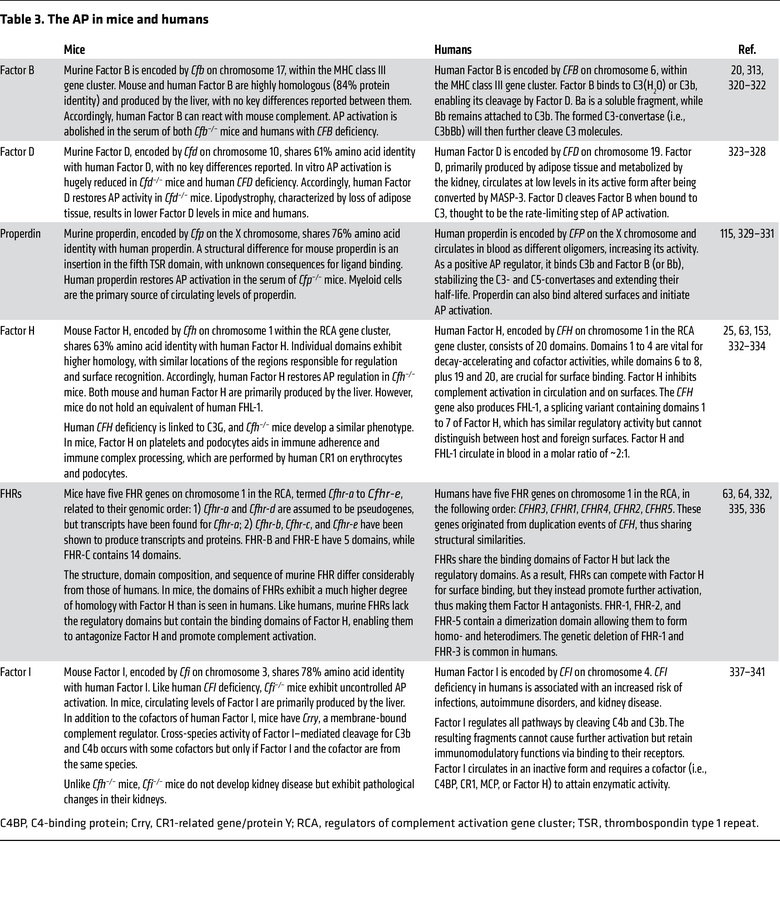 The AP in mice and humans
