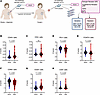 Immune cell subtypes are differentially distributed in ED-resistant versus