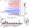 Endocrine treatment reshapes the TIME in ED-resistant tumors.