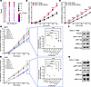 CXCL11 promotes resistance to estrogen suppression.