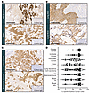 EphA5 expression in multiple cancer indications.