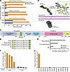 Identification and structural analysis of the binding epitope recognized by