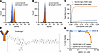 Binding specificity of the anti-EphA5 antibody and cytotoxicity of MBRC-101