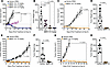 Antitumor activity of MBRC-101 in various PDX models of human cancers.