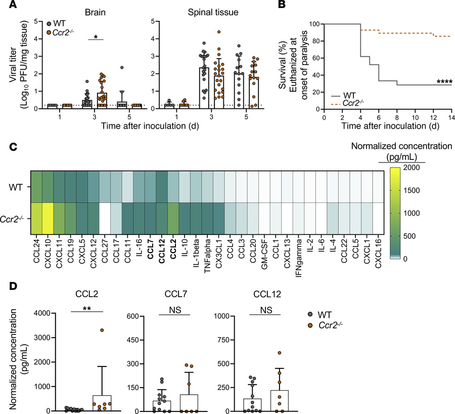 Mice lacking CCR2 develop less paralysis relative to WT mice following i...
