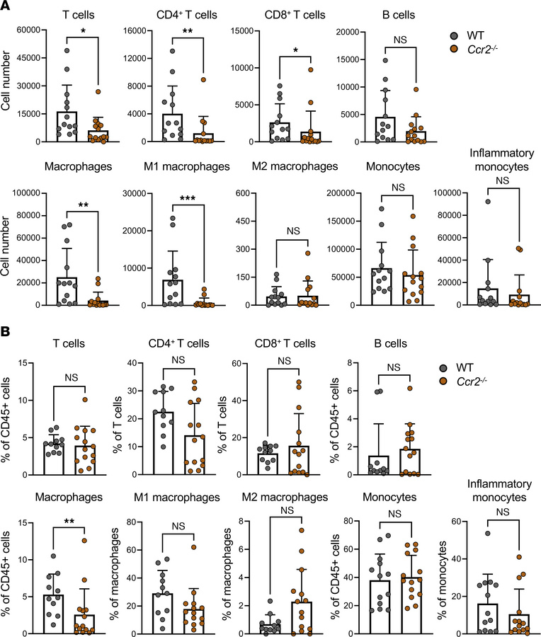 Loss of CCR2 results in altered immune cell recruitment following neurov...