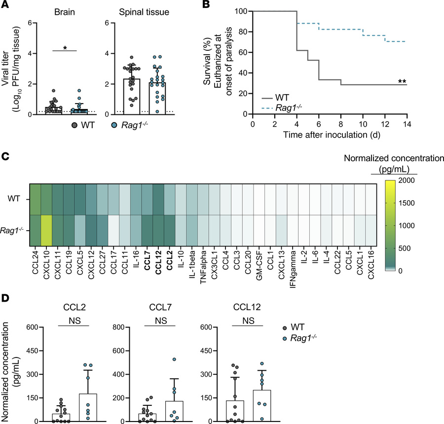 Mice lacking mature B and T cells have diminished EV-D68–induced paralys...