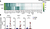 Cytokines in spinal tissue of EV-D68–inoculated mice.