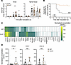 Mice lacking CCR2 develop less paralysis relative to WT mice following inoc