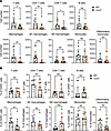 Loss of CCR2 results in altered immune cell recruitment following neuroviru