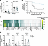 Mice lacking mature B and T cells have diminished EV-D68–induced paralysis