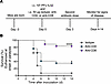Antibody-mediated depletion of T cells protects mice from EV-D68–mediated p