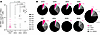 Persistent potentially intact and defective proviruses in naive CD4+ T cell
