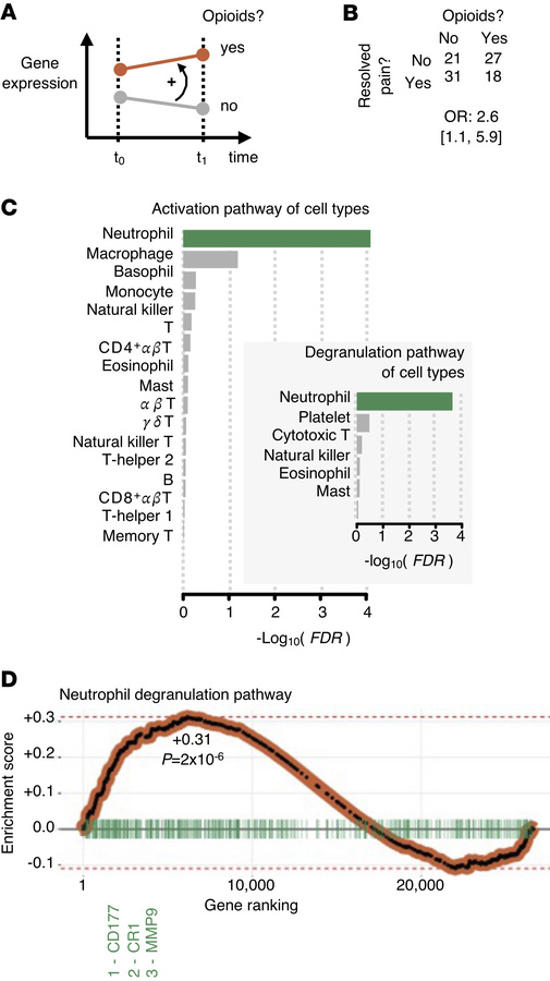 Previous findings were replicated in an independent transcriptomic LBP c...