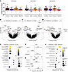 Complete blood cell count (n = 120) and transcriptomic analysis in the CLBP
