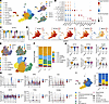 Single-cell RNA-seq confirms expected AT2 profile after expansion.