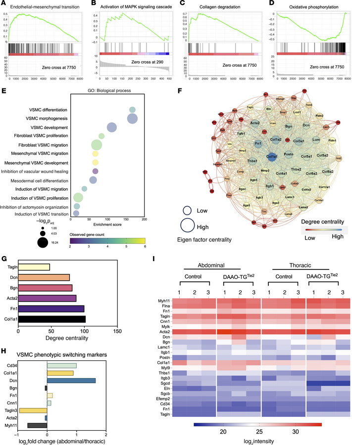 Proteomicsprotep analyses of thoracic and abdominal aorta following chem...