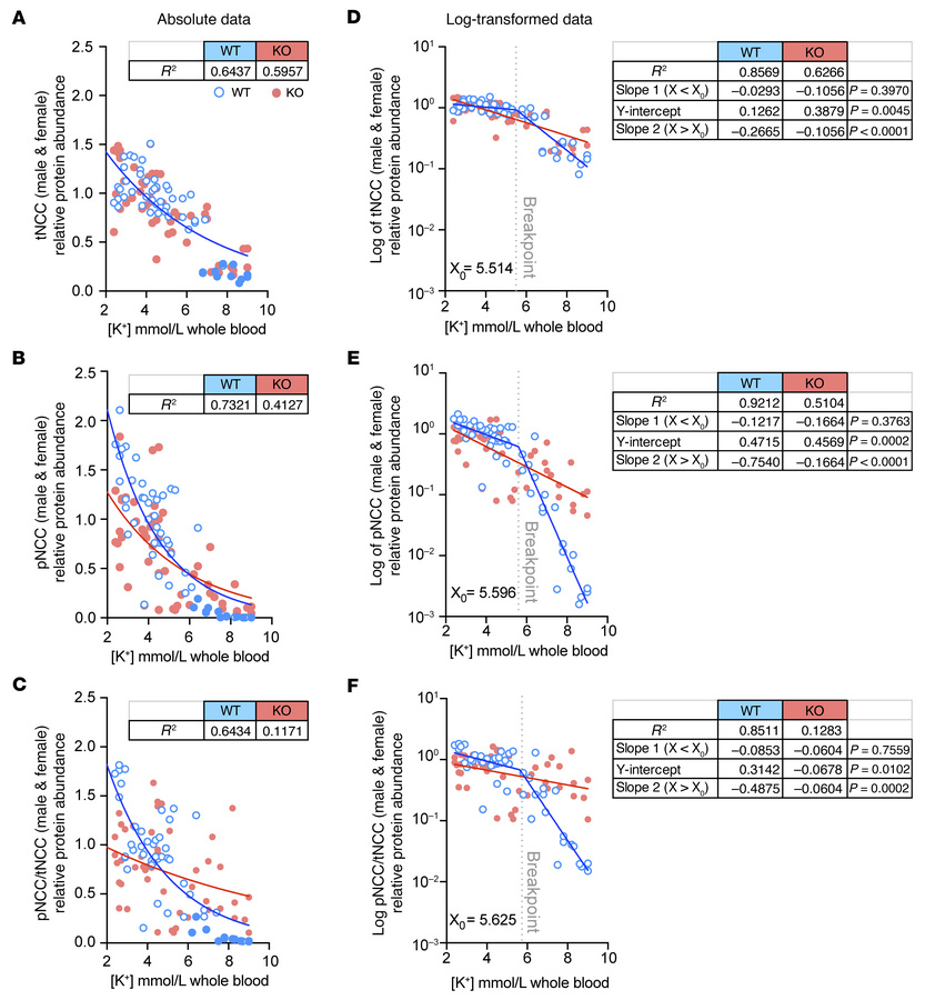 KS-WNK1 amplifies the inverse relationship between NCC phosphorylation a...