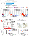 RCOR2 is upregulated in cancer cells and predicts poor survival in breast c