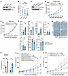 RCOR2 promotes tumor immune evasion in mice.