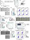 RCOR2 enhances tumor cell plasticity to promote cancer development.
